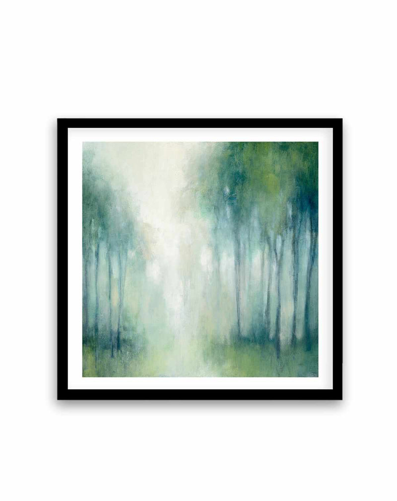 Walk In The Woods | Art Print