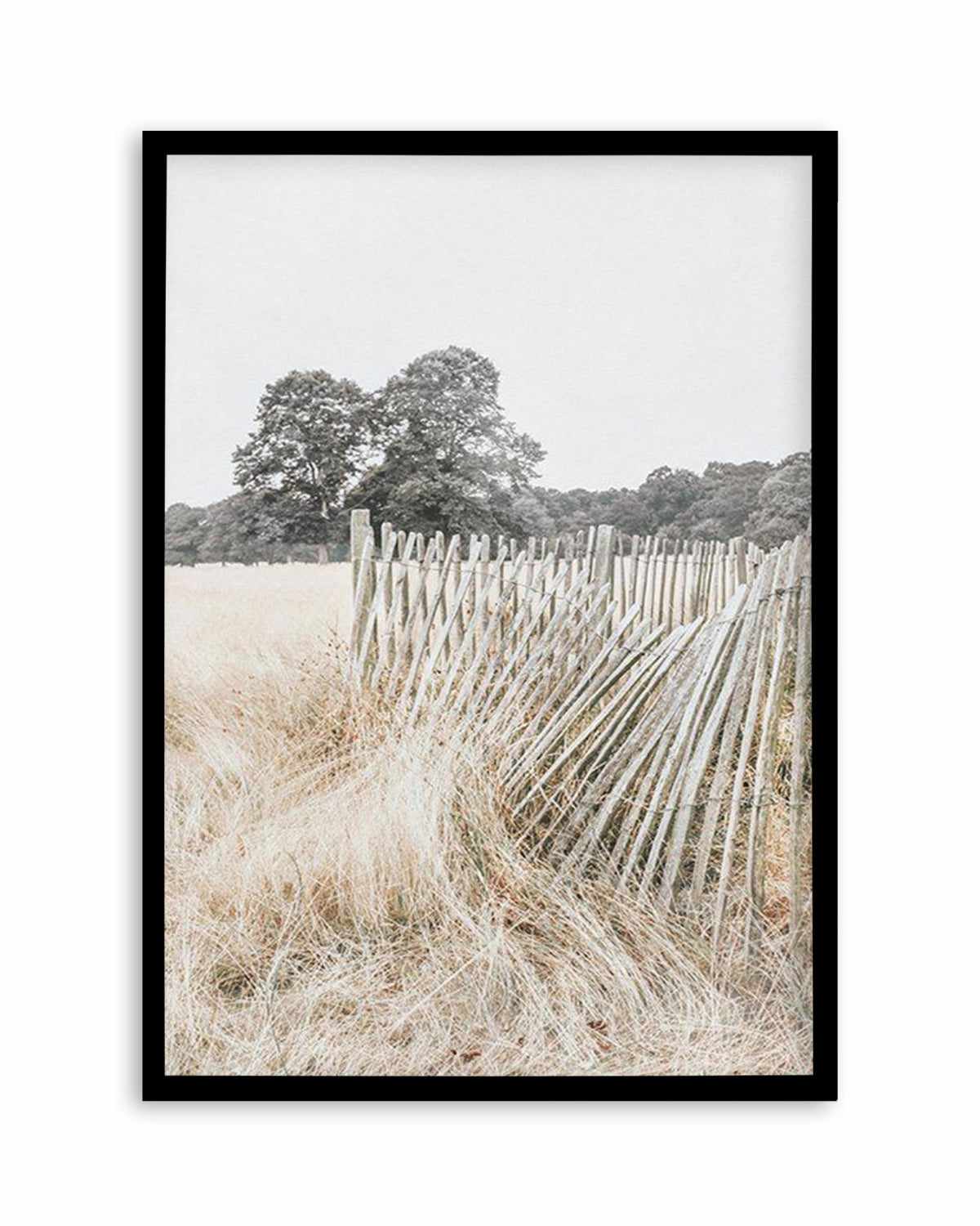 Walk in the Fields Art Print