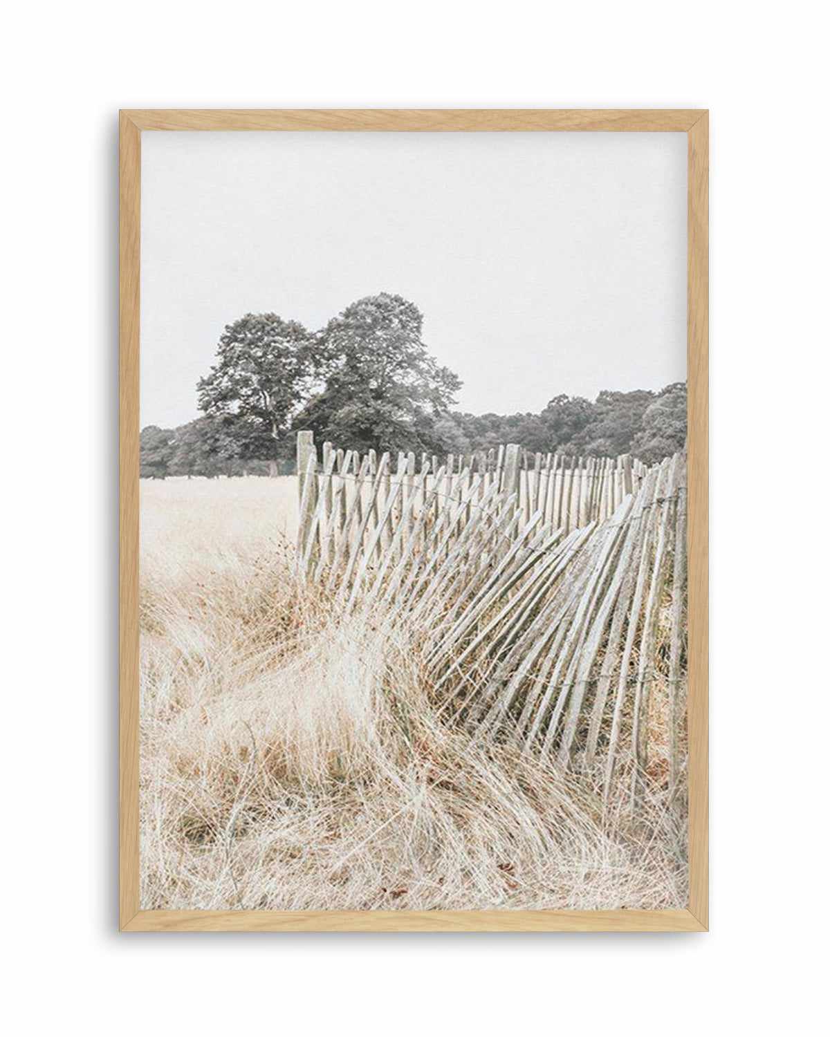 Walk in the Fields Art Print