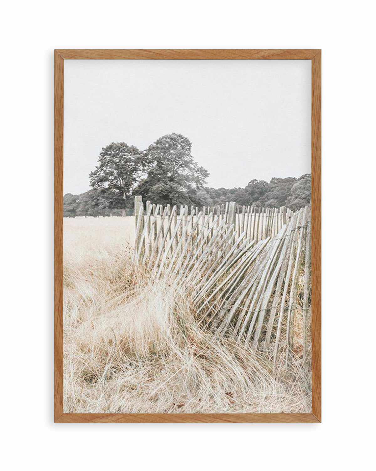 Walk in the Fields Art Print