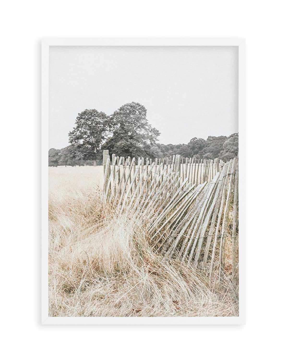 Walk in the Fields Art Print