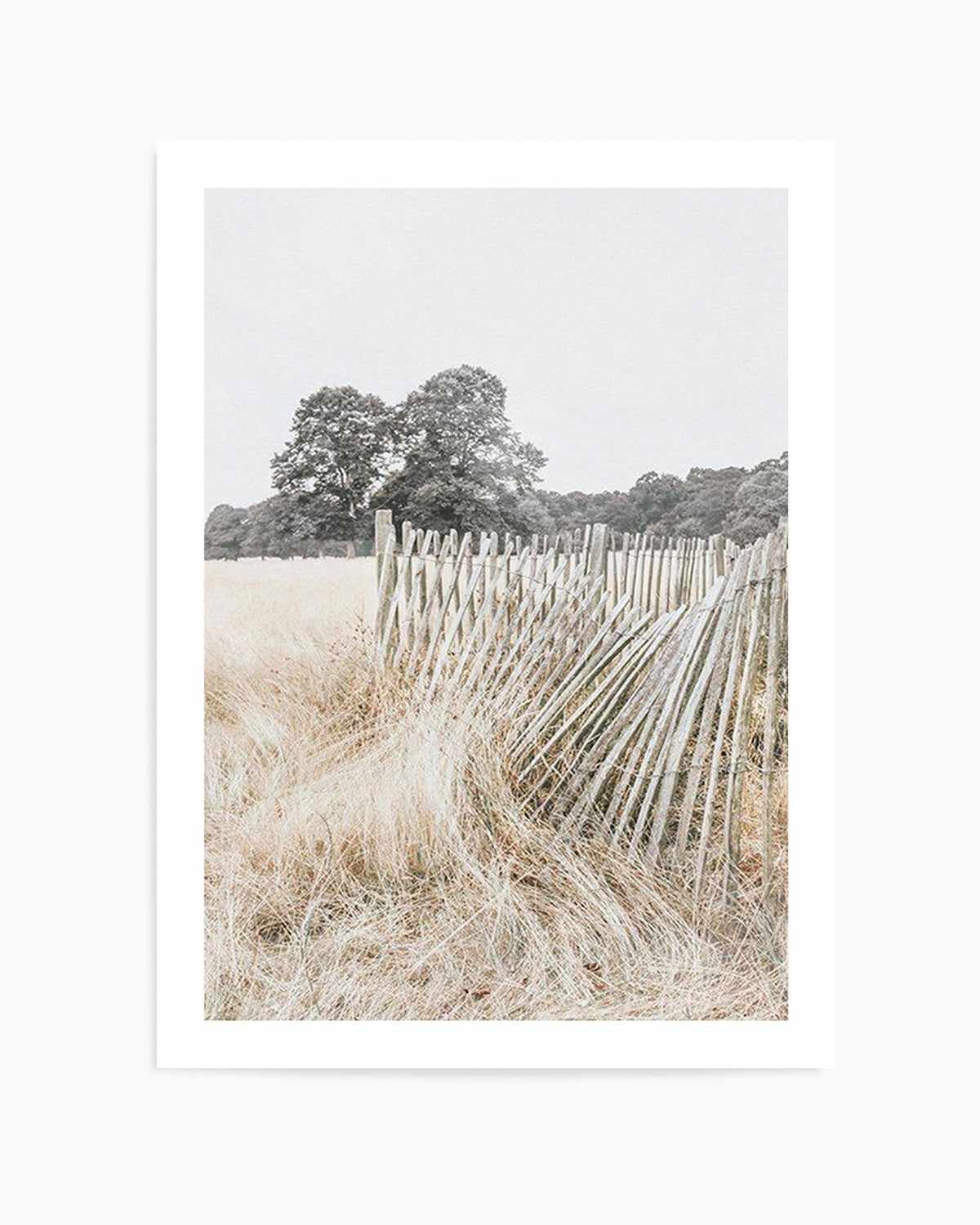 Walk in the Fields Art Print