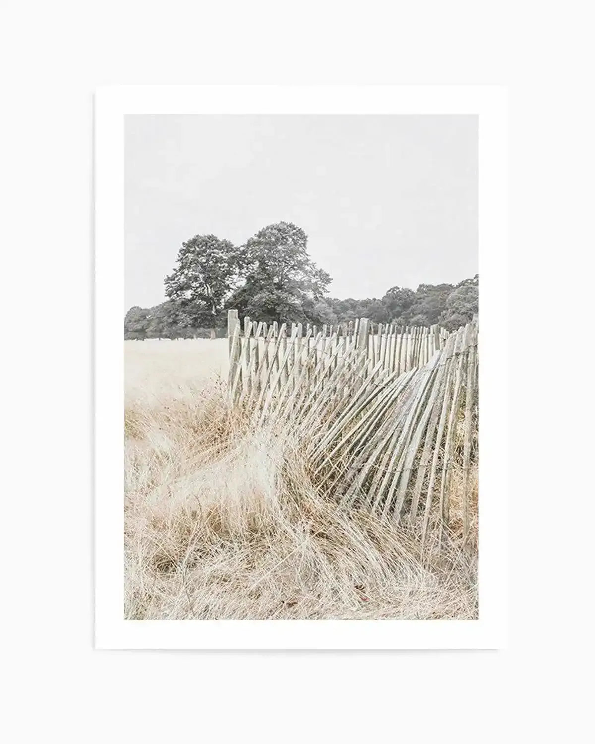Walk in the Fields Art Print from Olive et Oriel where you can shop wallpaper and artworks online