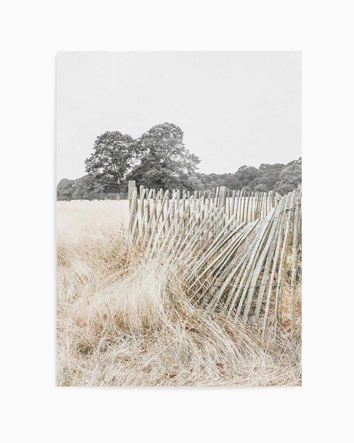 Walk in the Fields Art Print