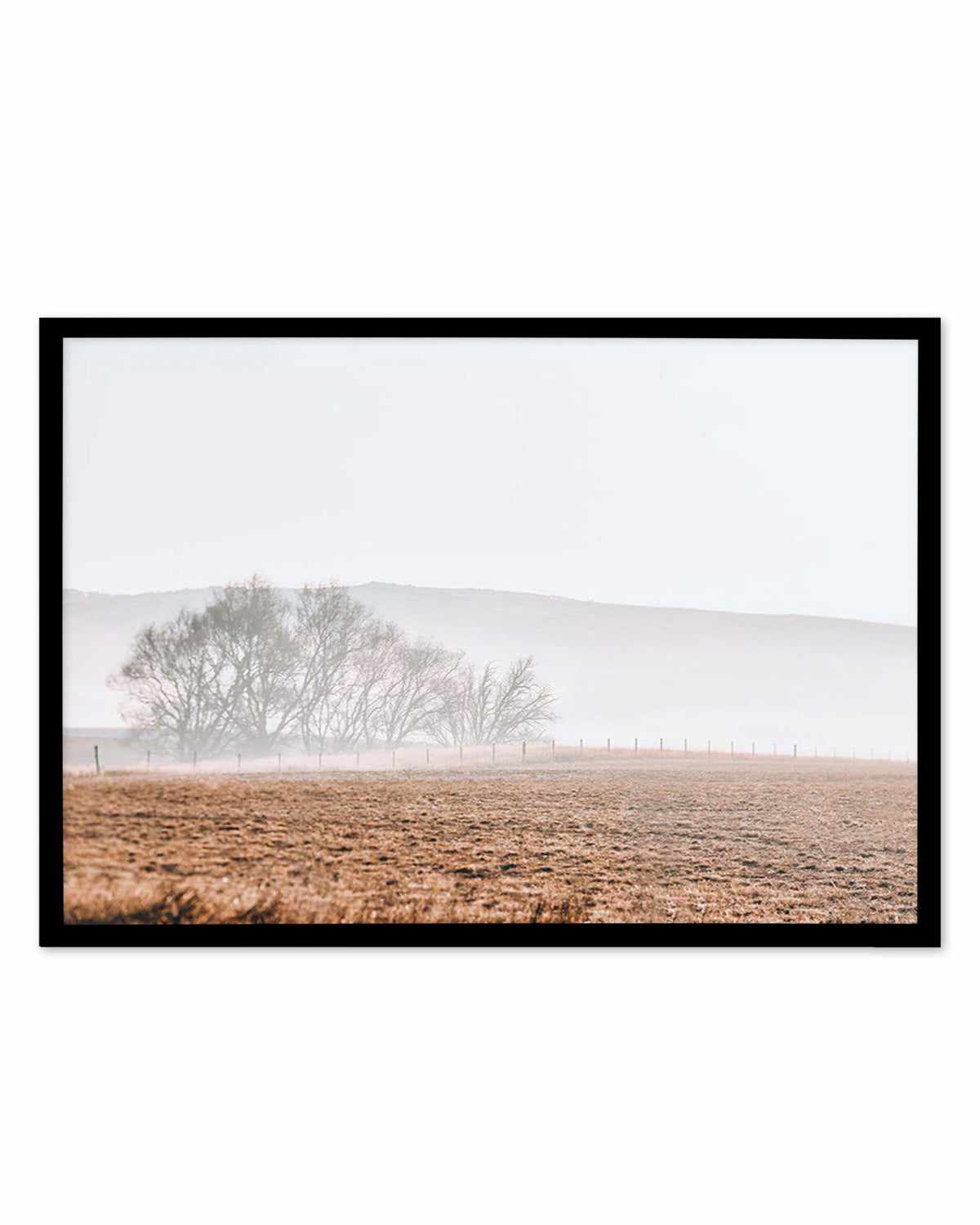 Wandering Fields Art Print