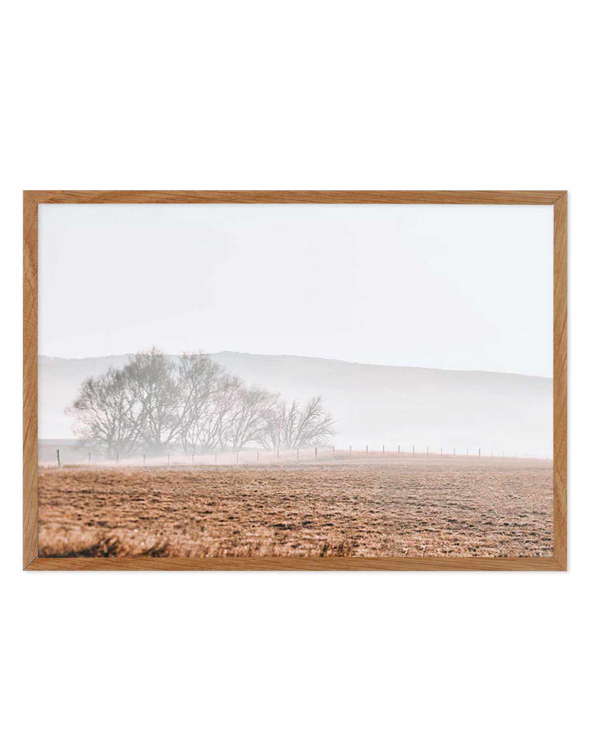 Wandering Fields Art Print