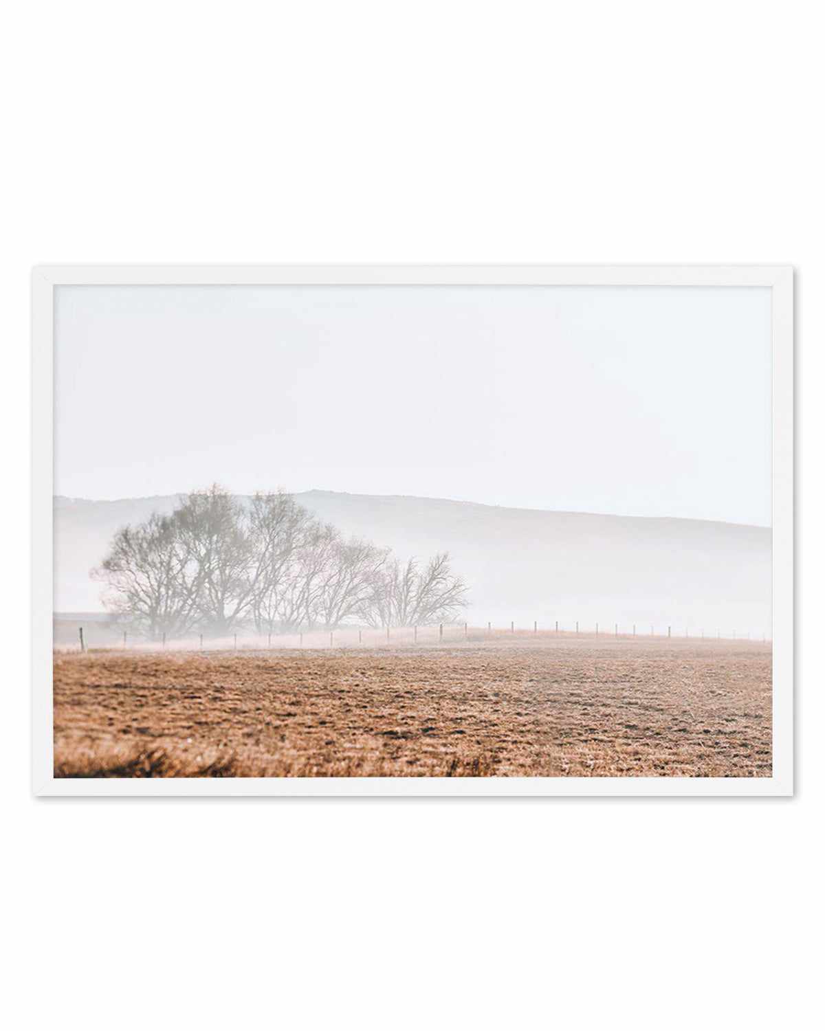 Wandering Fields Art Print