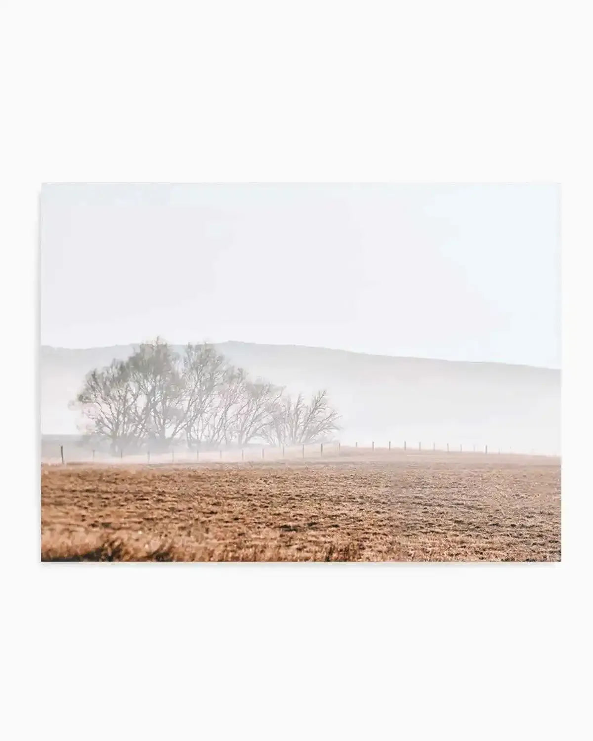 Wandering Fields Art Print from Olive et Oriel where you can shop wallpaper and artworks online