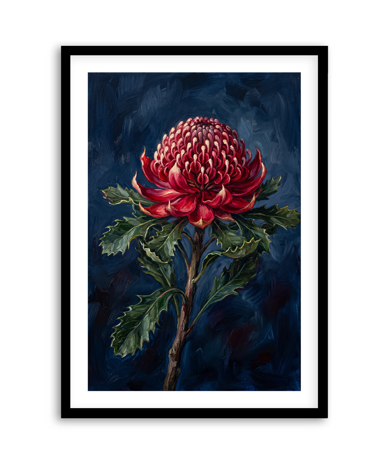 Waratah On Navy Botanicals Study | Art Print