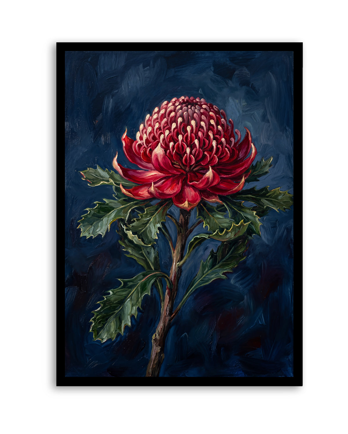 Waratah On Navy Botanicals Study | Art Print