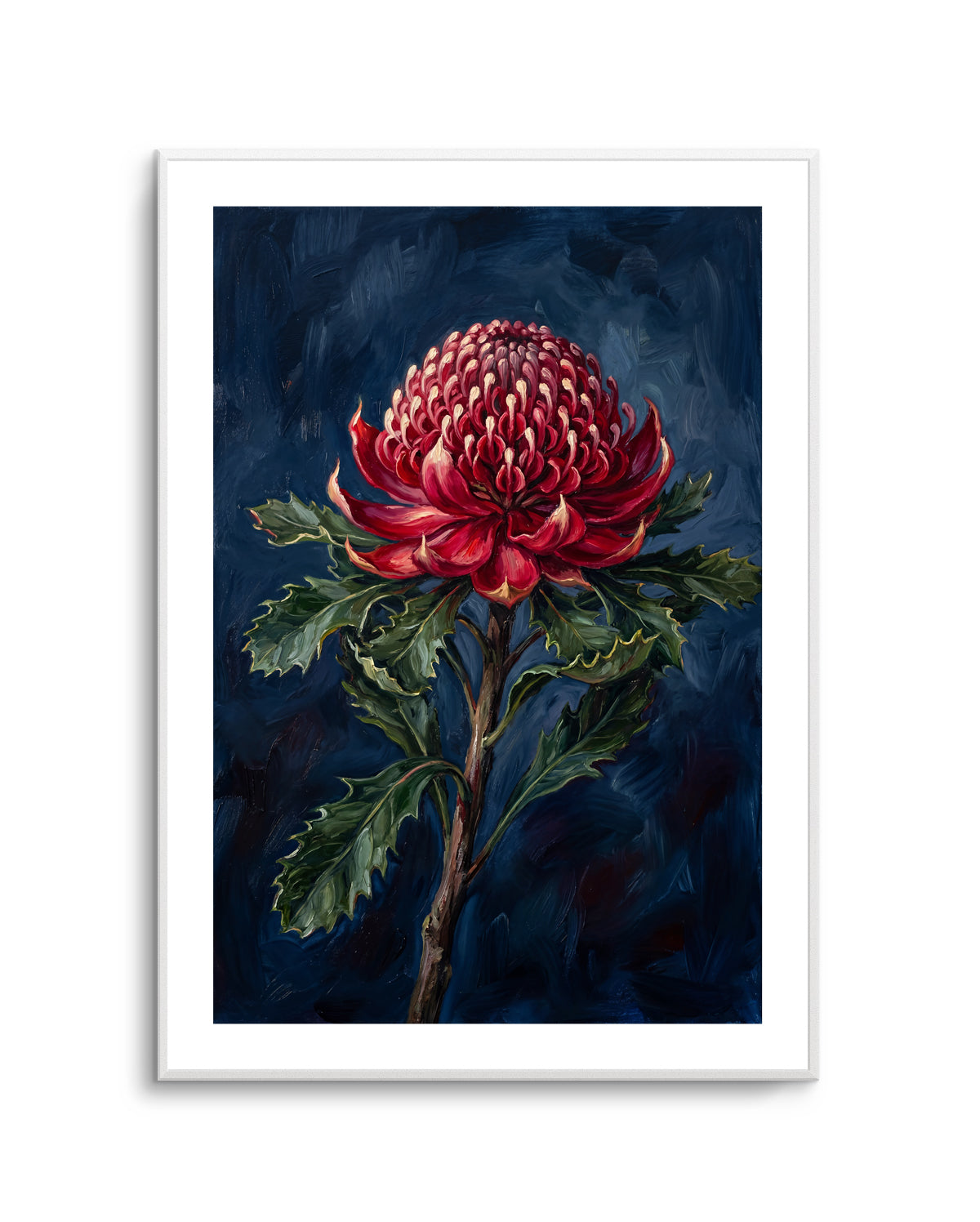 Waratah On Navy Botanicals Study | Art Print
