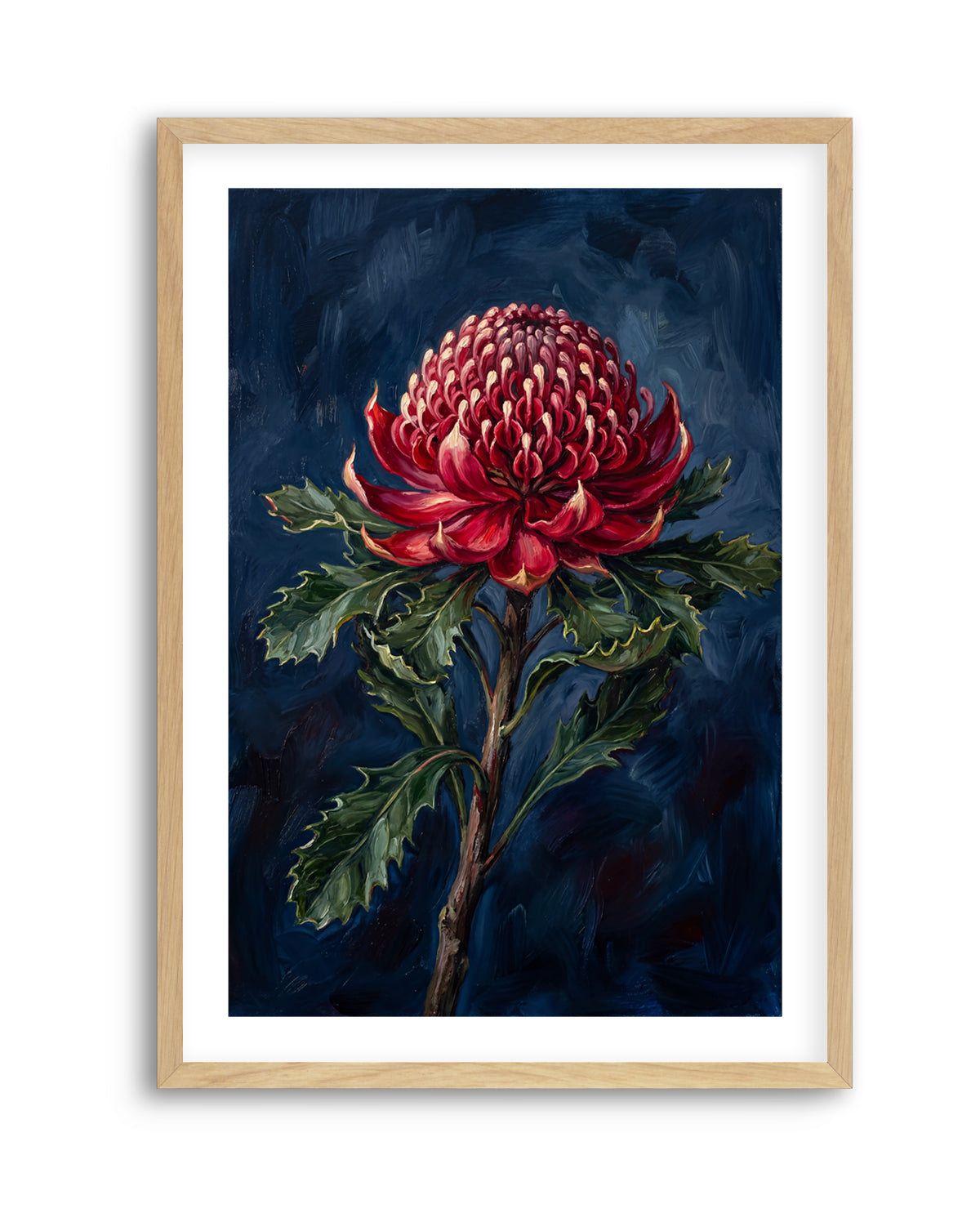 Waratah On Navy Botanicals Study | Art Print