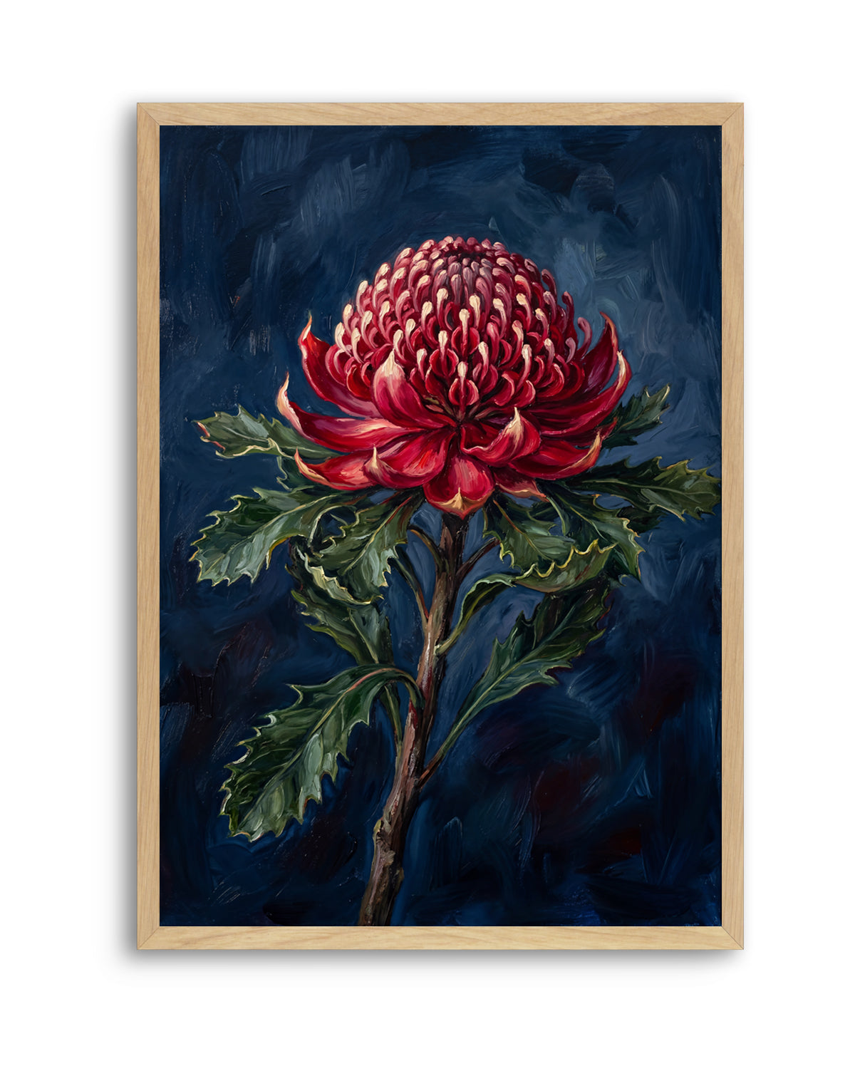 Waratah On Navy Botanicals Study | Art Print