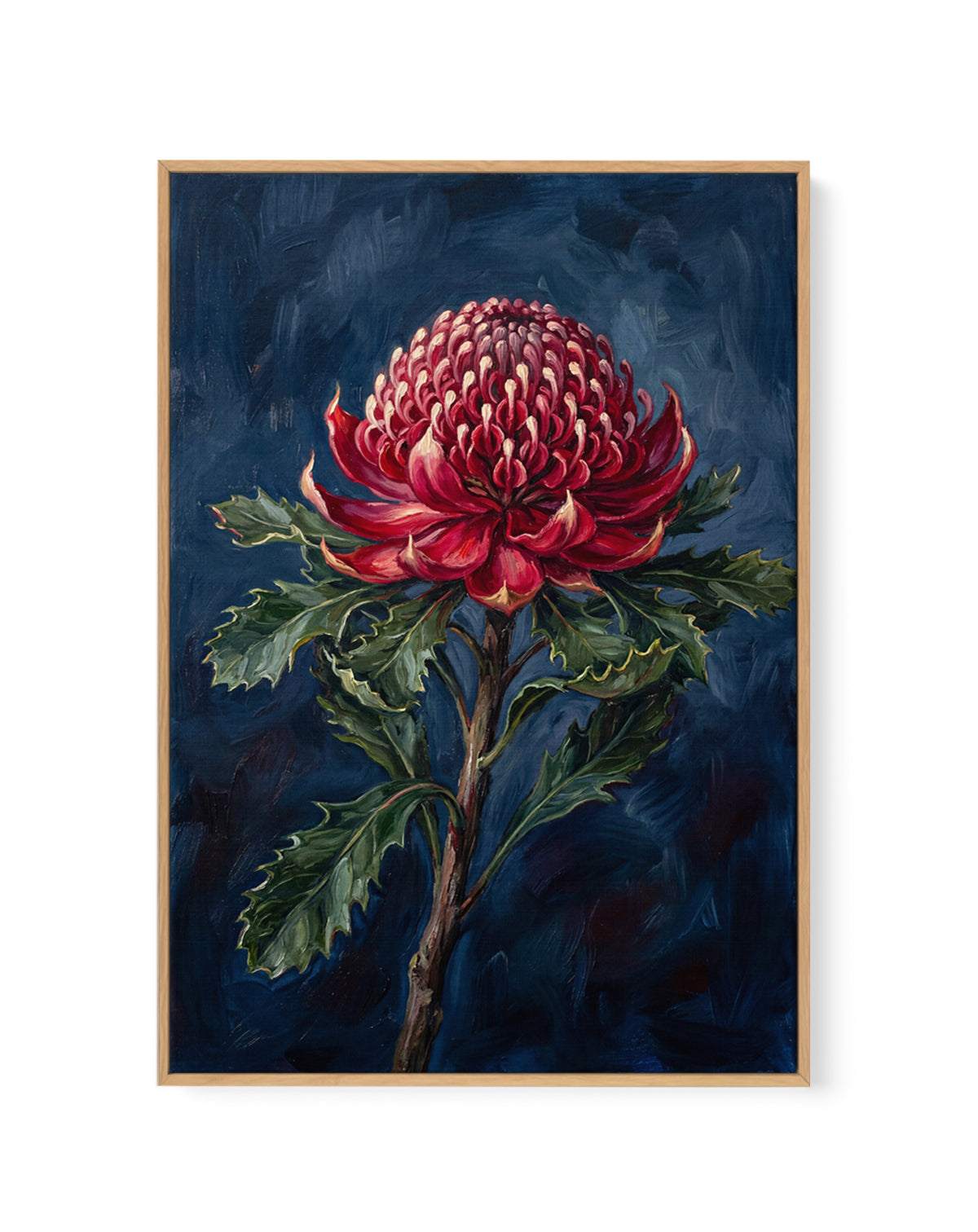 Waratah On Navy Botanicals Study | Framed Canvas Art Print