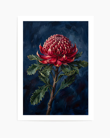 Waratah On Navy Botanicals Study | Art Print
