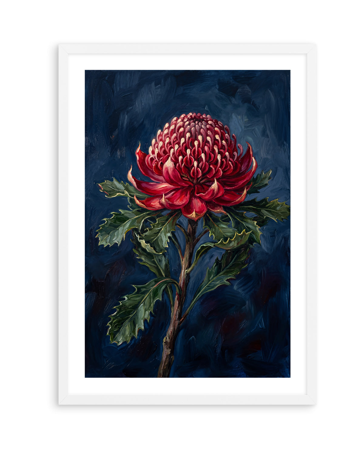 Waratah On Navy Botanicals Study | Art Print