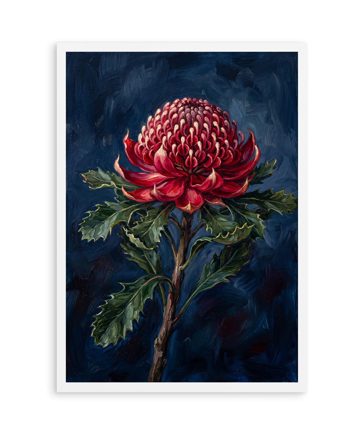 Waratah On Navy Botanicals Study | Art Print