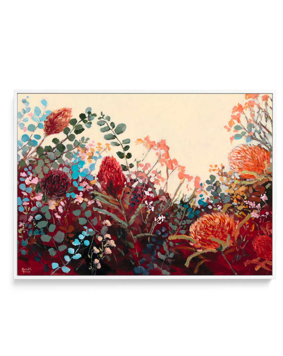Waratah Vintage by Meredith Howse | Framed Canvas Art Print