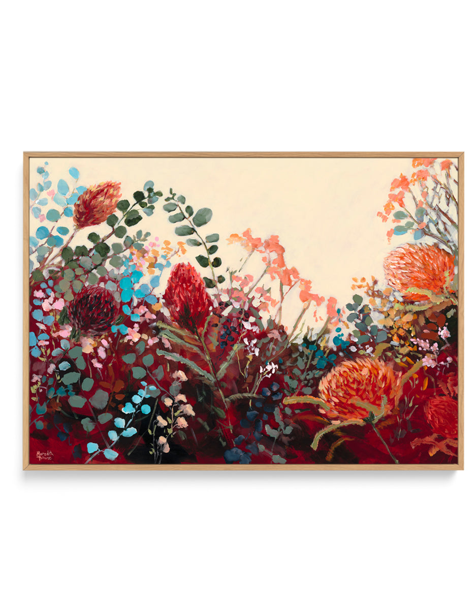Waratah Vintage by Meredith Howse | Framed Canvas Art Print