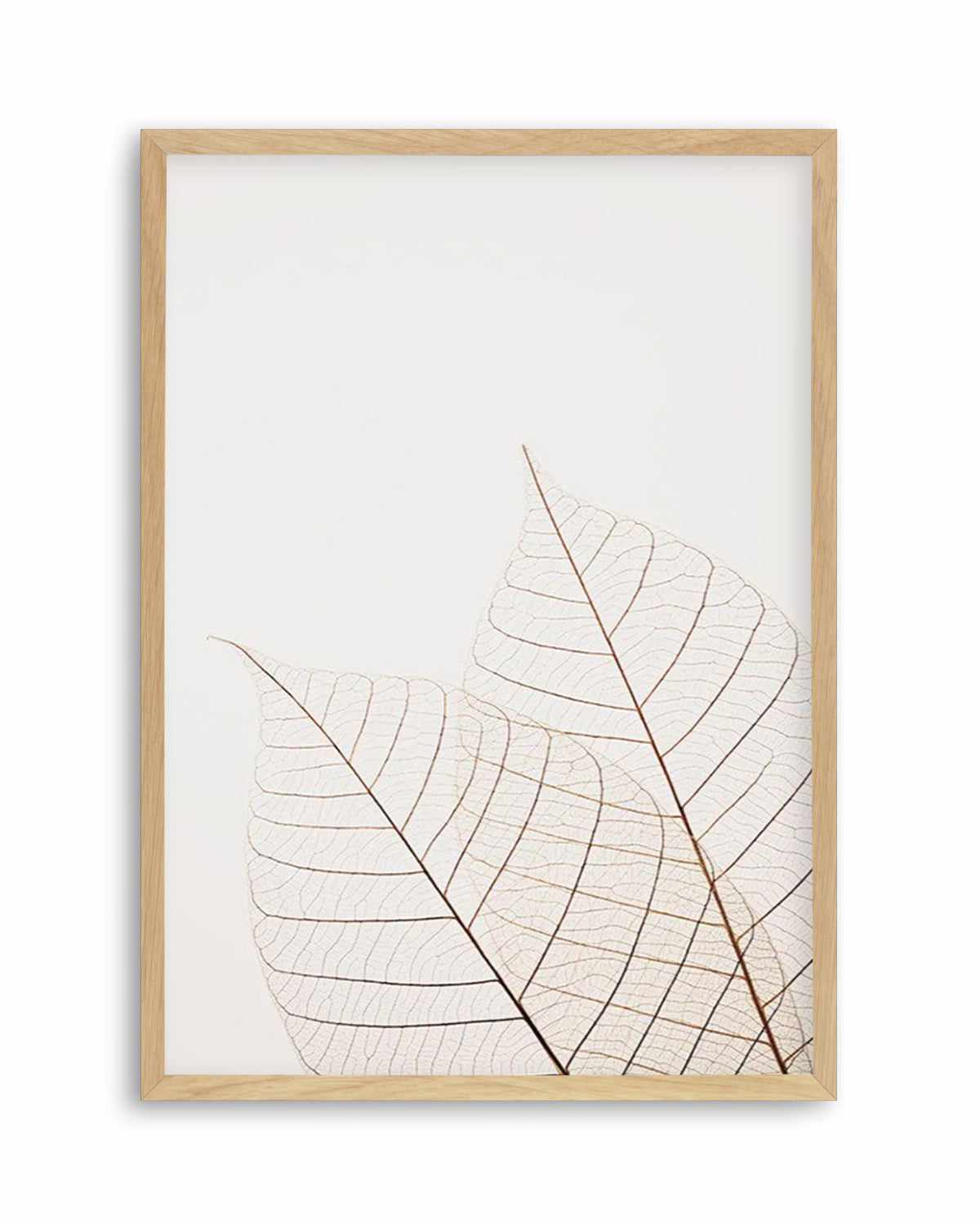 Warm Leaves Art Print