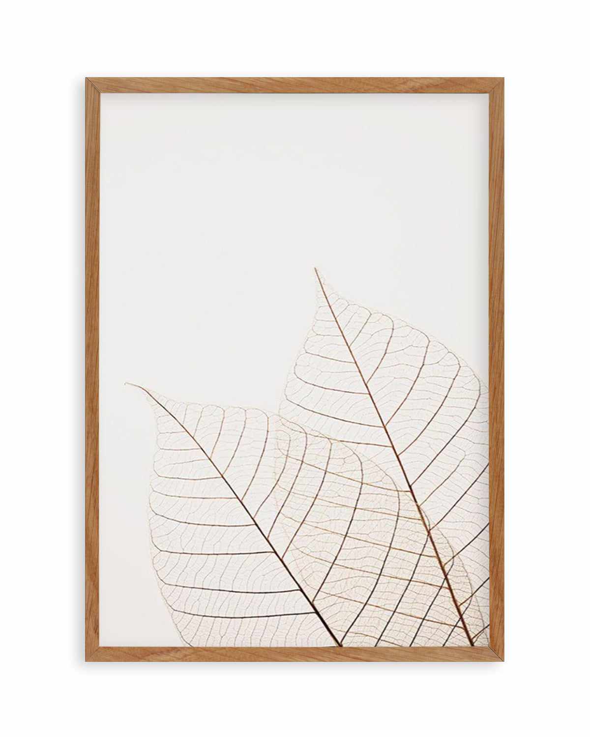 Warm Leaves Art Print