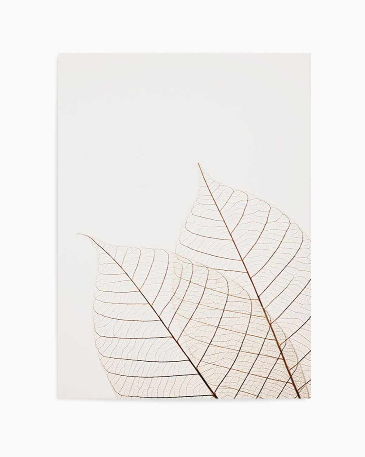 Warm Leaves Art Print