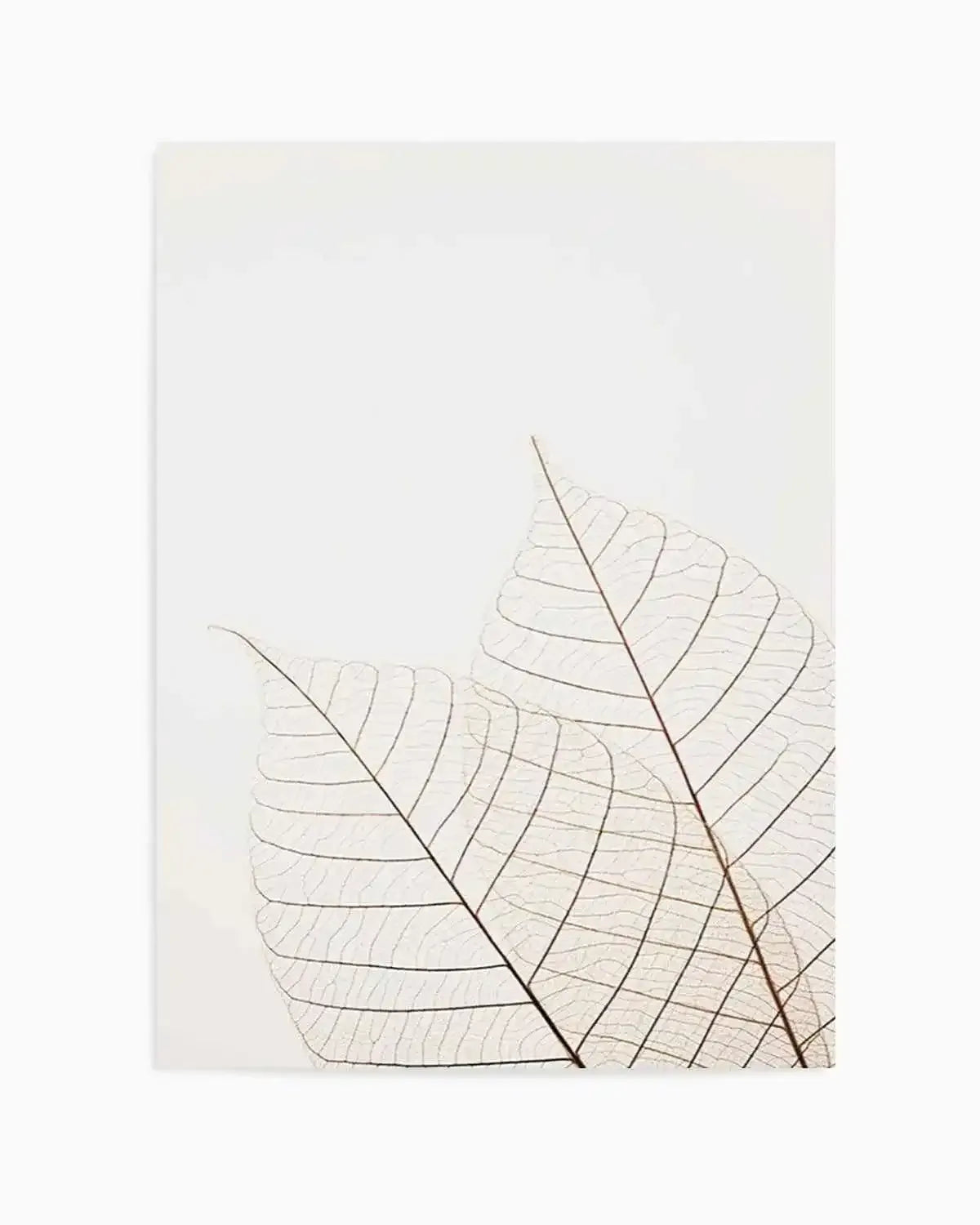 Warm Leaves Art Print from Olive et Oriel where you can shop wallpaper and artworks online