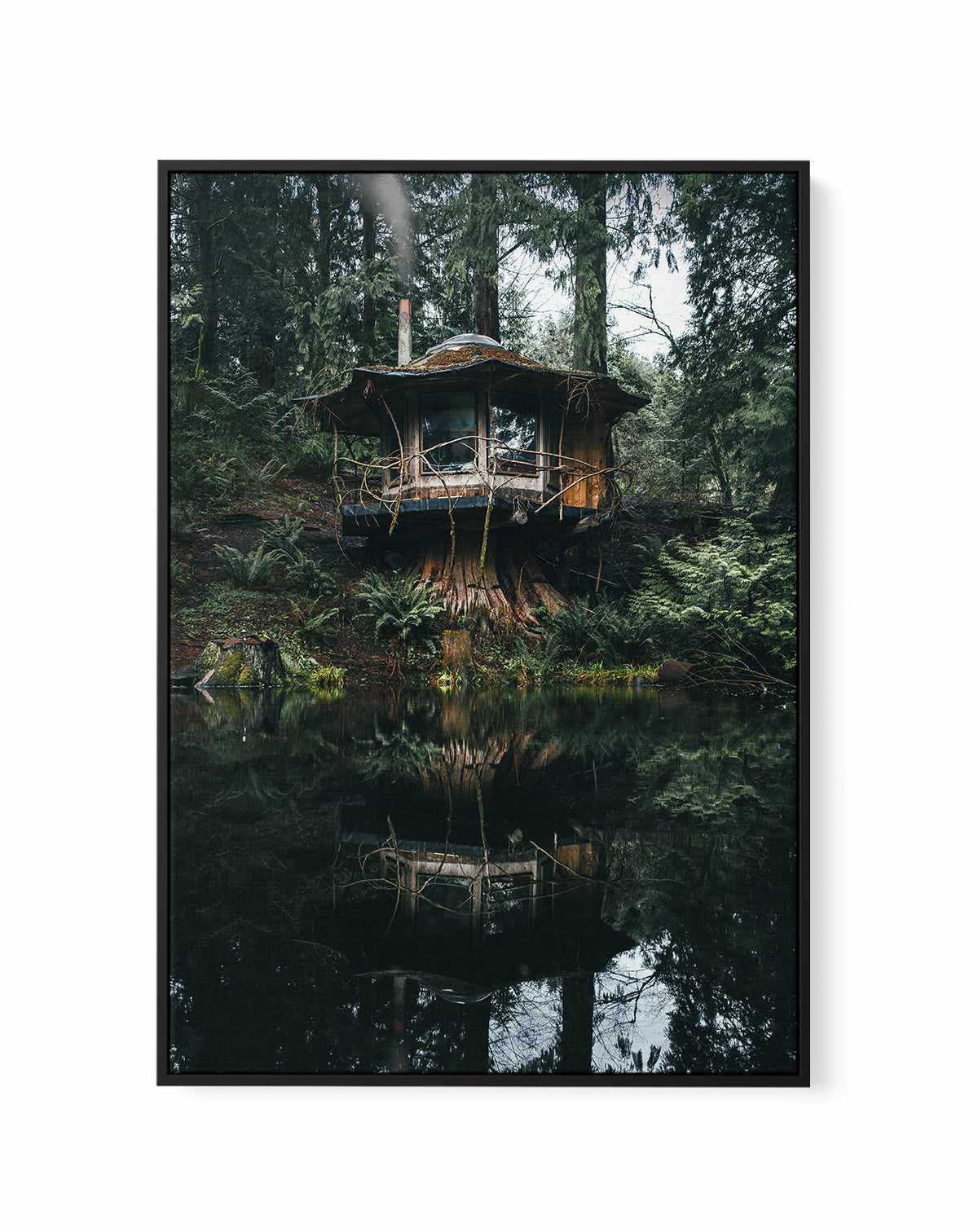 Washington Cabins by Kalen X | Framed Canvas Art Print