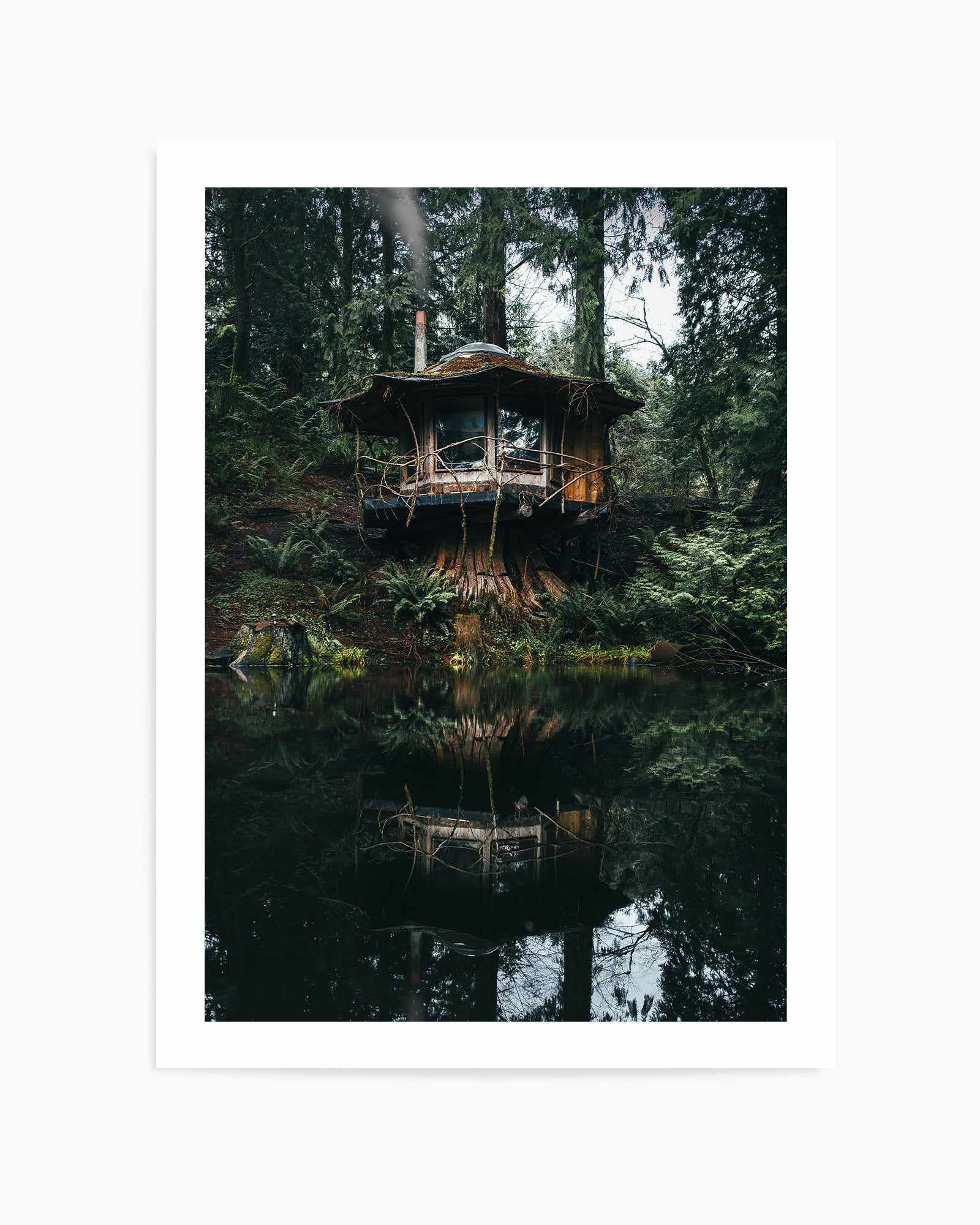 Washington Cabins by Kalen X | Art Print