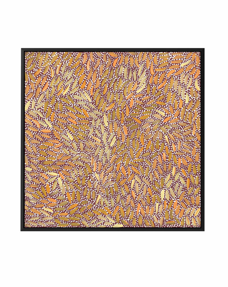 Water Dreaming I in Ochre by Chantelle Nampijinpa Robertson | Framed Canvas Art Print