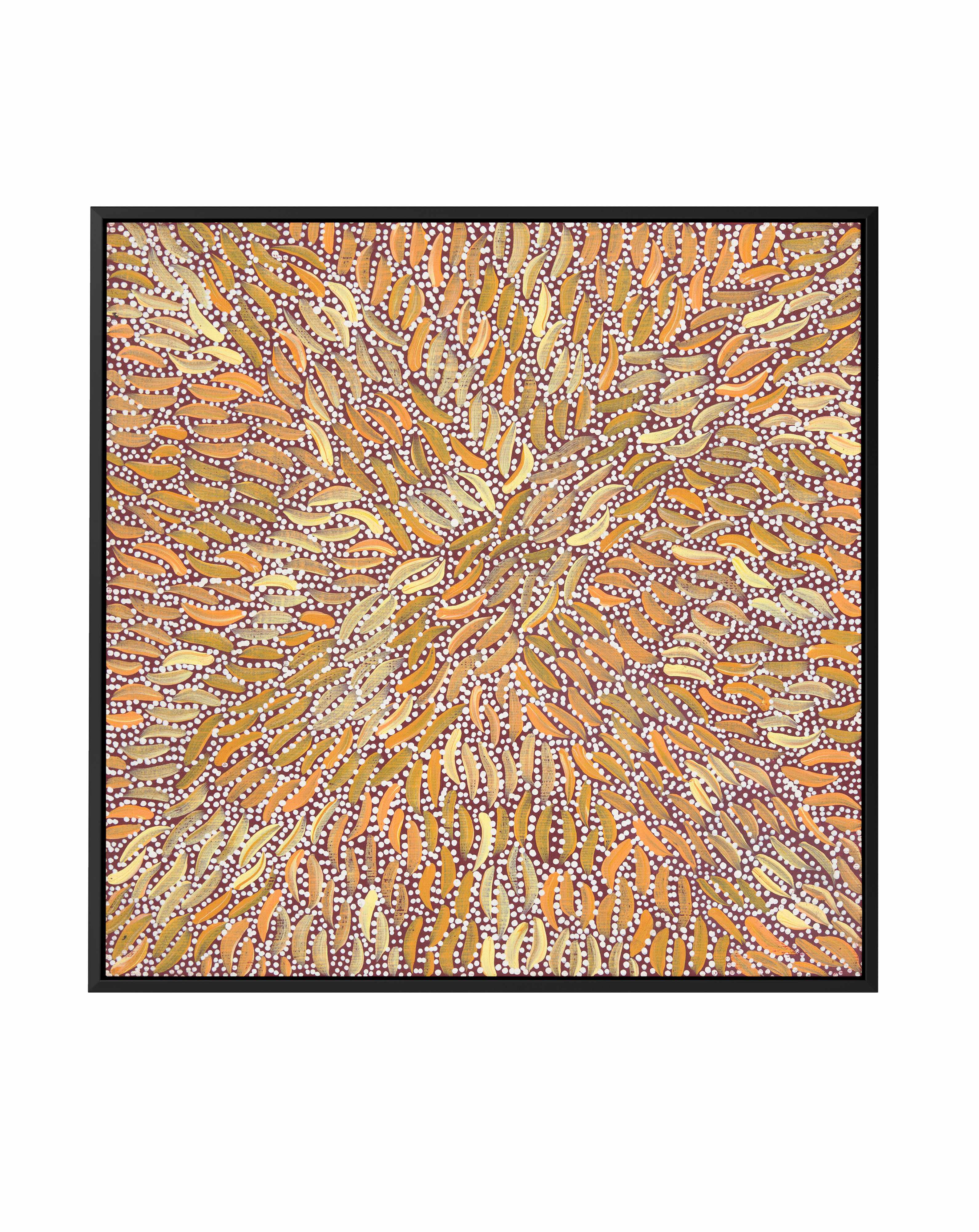 Water Dreaming II in Ochre by Chantelle Nampijinpa Robertson | Framed Canvas Art Print