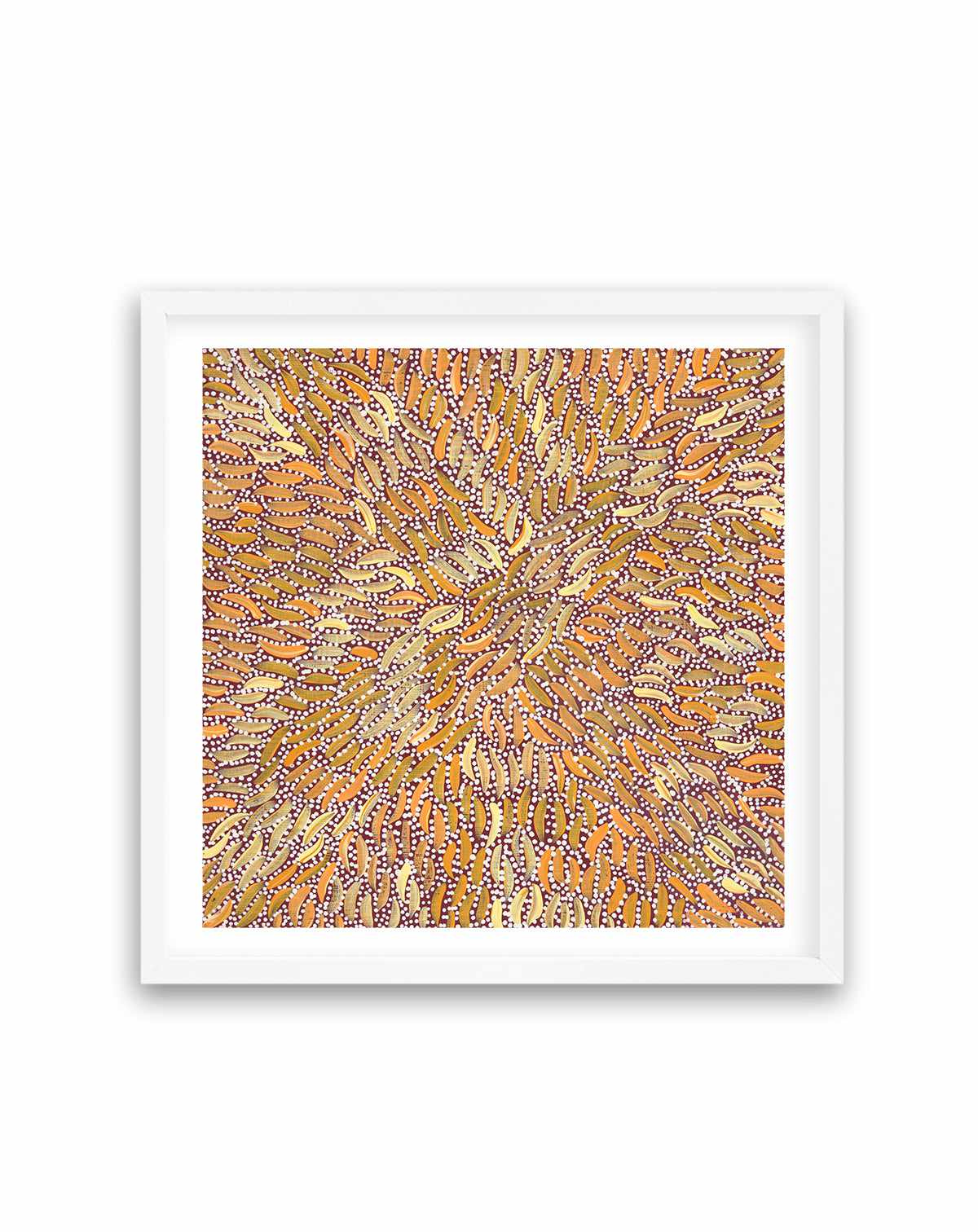 Water Dreaming II in Ochre by Chantelle Nampijinpa Robertson | Art Print