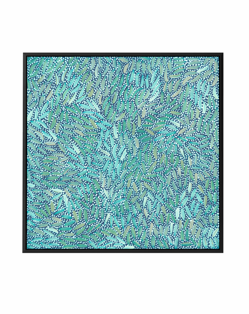 Water Dreaming in Teal II by Chantelle Nampijinpa Robertson | Framed Canvas Art Print