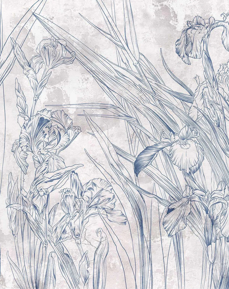 Peel and stick wallpaper featuring a detailed line art illustration of water iris flowers and leaves in a deep indigo blue on a textured, distressed light grey and off-white background. The botanical design has a hand-drawn quality with visible fine lines and shading, depicting irises in various stages of bloom with long, slender leaves.