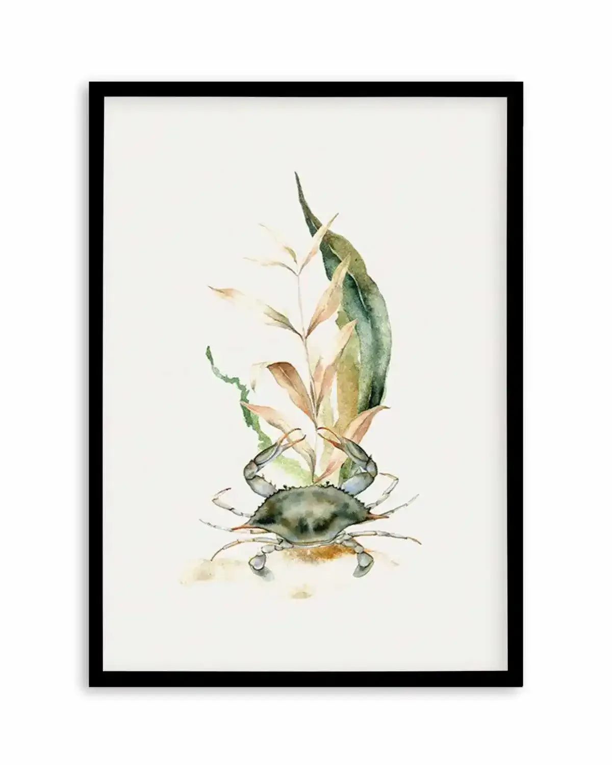 Watercolour Crab Art Print from Olive et Oriel where you can shop wallpaper and artworks online