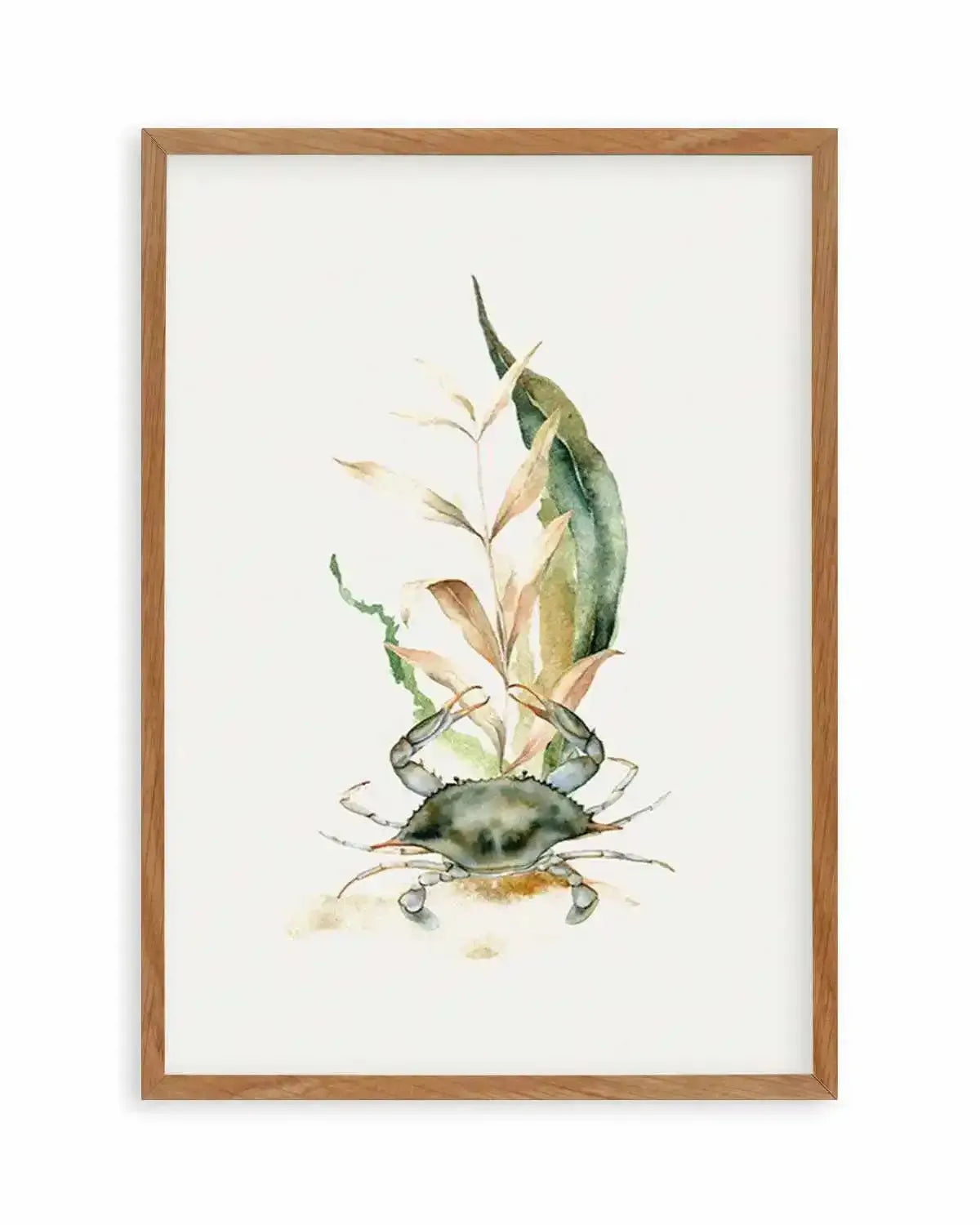 Watercolour Crab Art Print from Olive et Oriel where you can shop wallpaper and artworks online