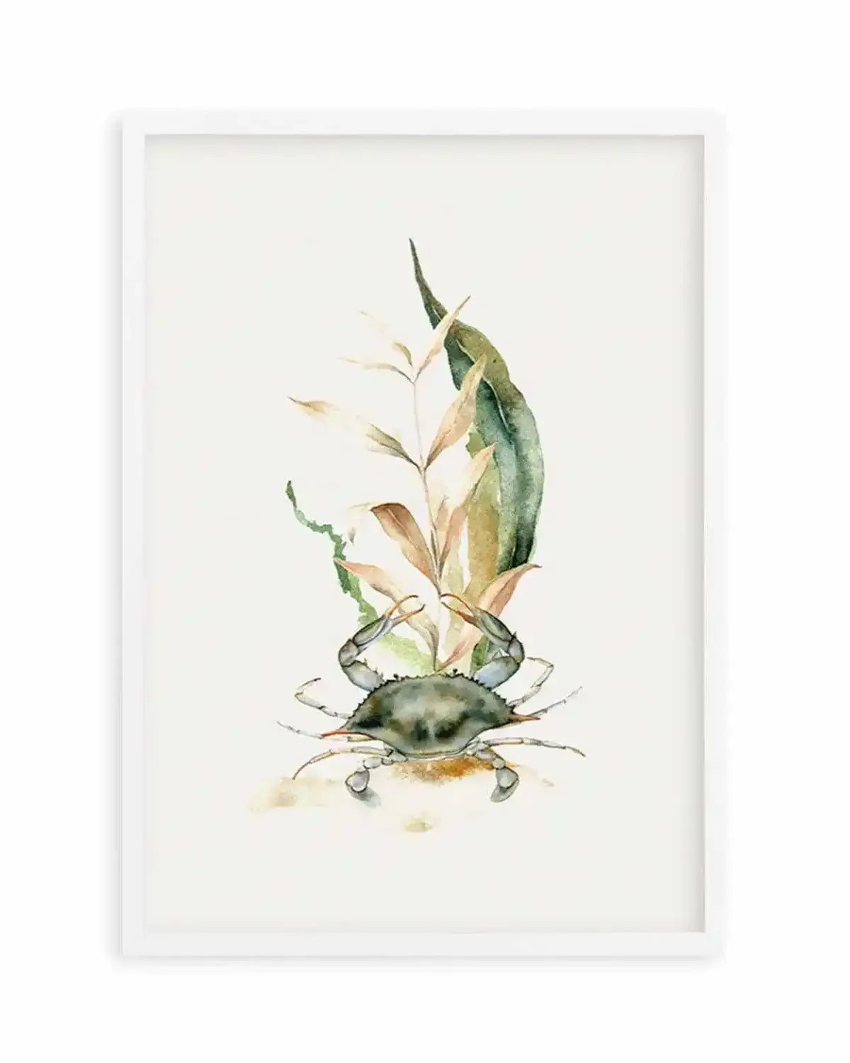 Watercolour Crab Art Print from Olive et Oriel where you can shop wallpaper and artworks online