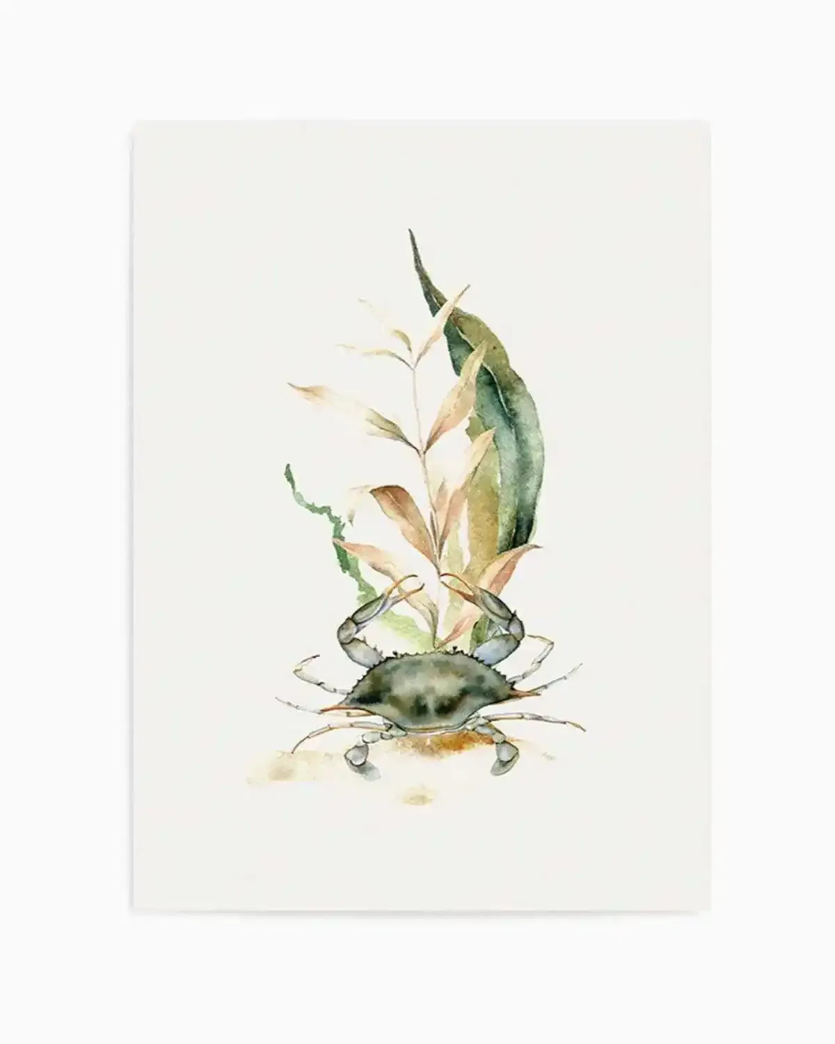 Watercolour Crab Art Print from Olive et Oriel where you can shop wallpaper and artworks online