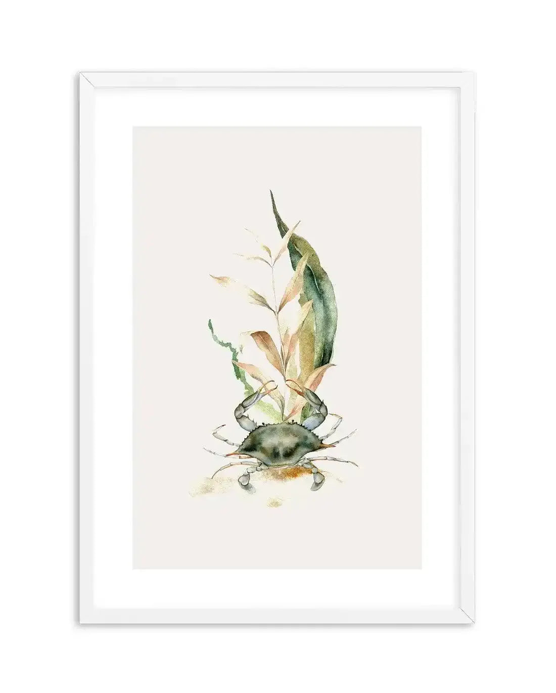 Watercolour Crab Art Print-PRINT-Olive et Oriel-Olive et Oriel-A5 | 5.8" x 8.3" | 14.8 x 21cm-White-With White Border-Buy-Australian-Art-Prints-Online-with-Olive-et-Oriel-Your-Artwork-Specialists-Austrailia-Decorate-With-Coastal-Photo-Wall-Art-Prints-From-Our-Beach-House-Artwork-Collection-Fine-Poster-and-Framed-Artwork