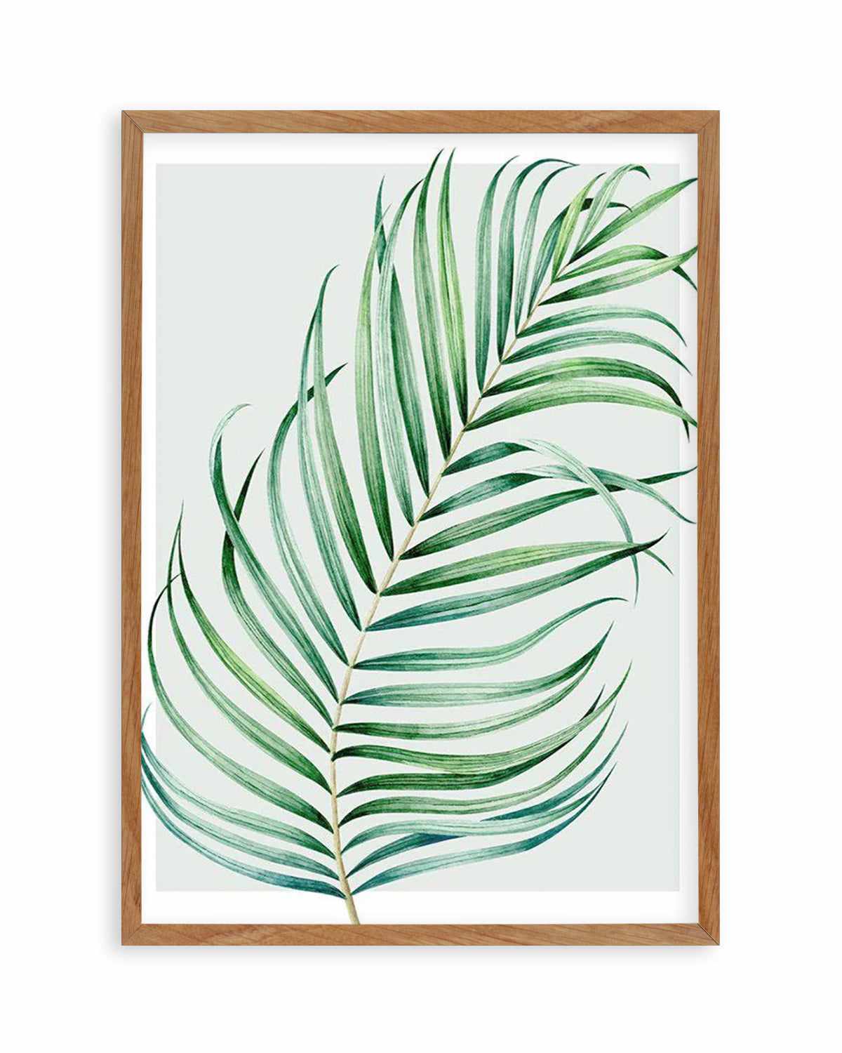 Watercolour Palm On Grey I   Art Print