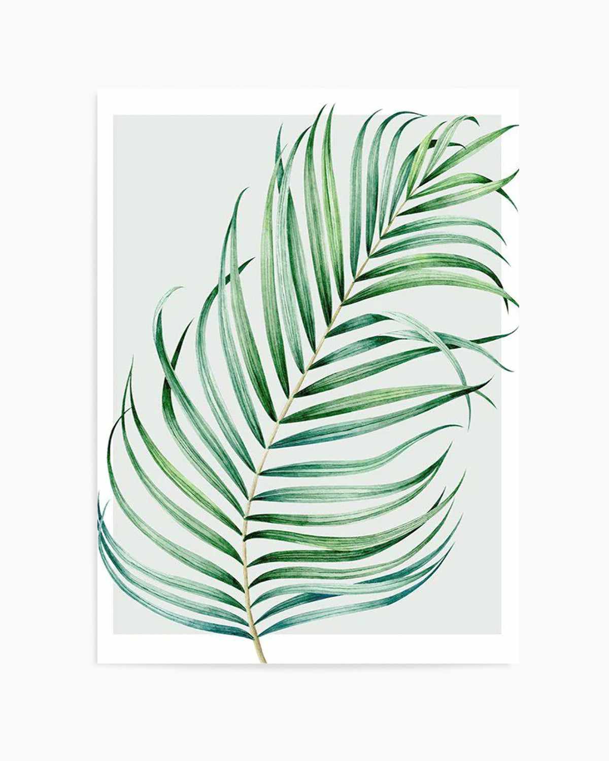 Watercolour Palm On Grey I   Art Print