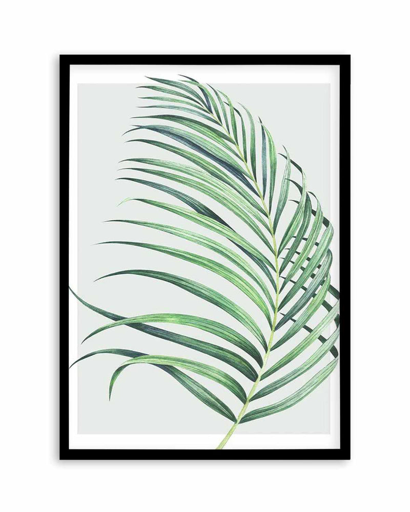 Watercolour Palm On Grey II   Art Print