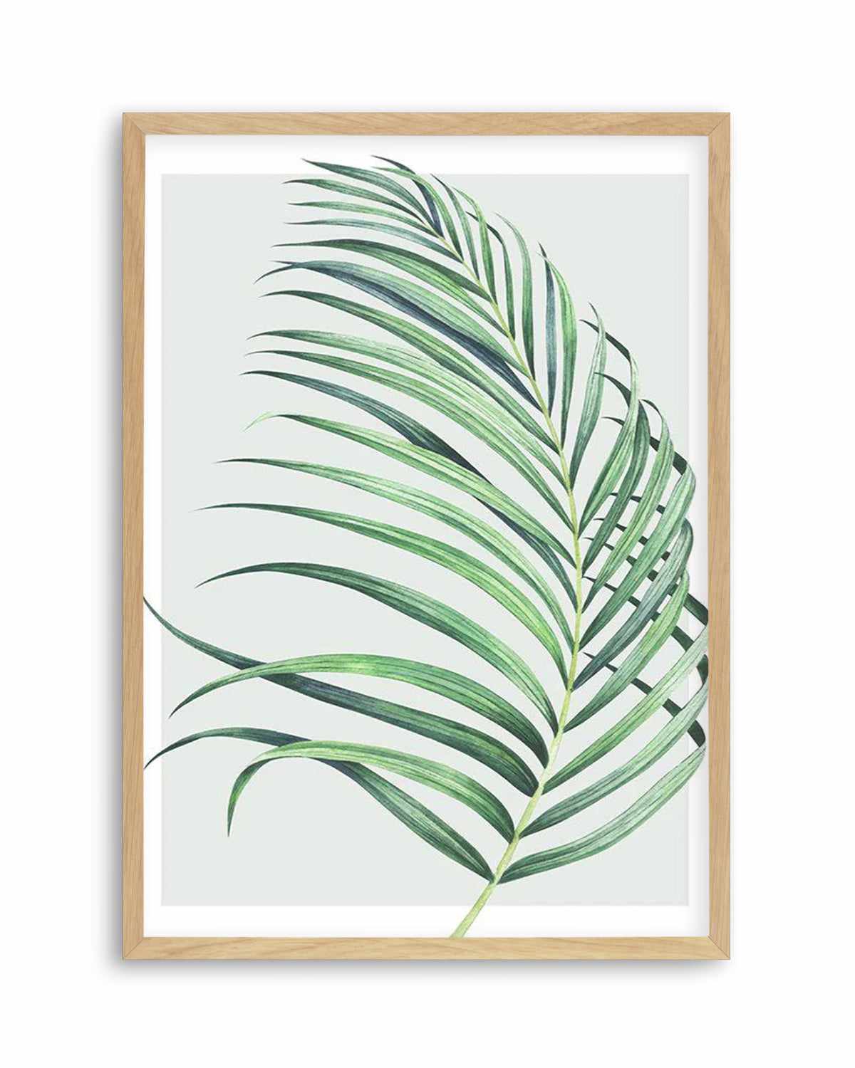 Watercolour Palm On Grey II   Art Print