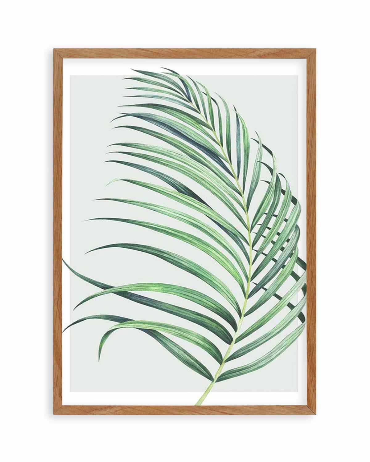 Watercolour Palm On Grey II   Art Print