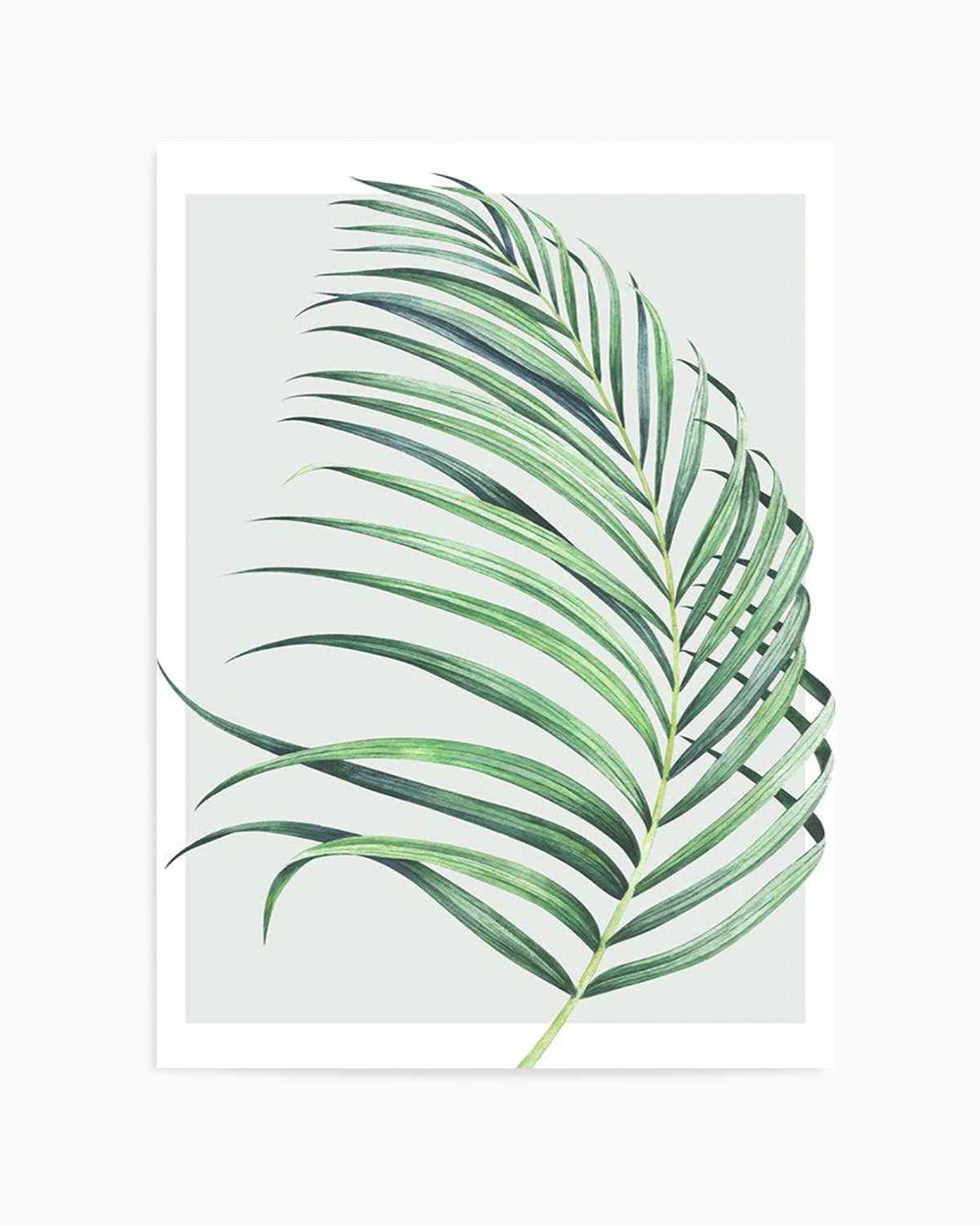 Watercolour Palm On Grey II   Art Print