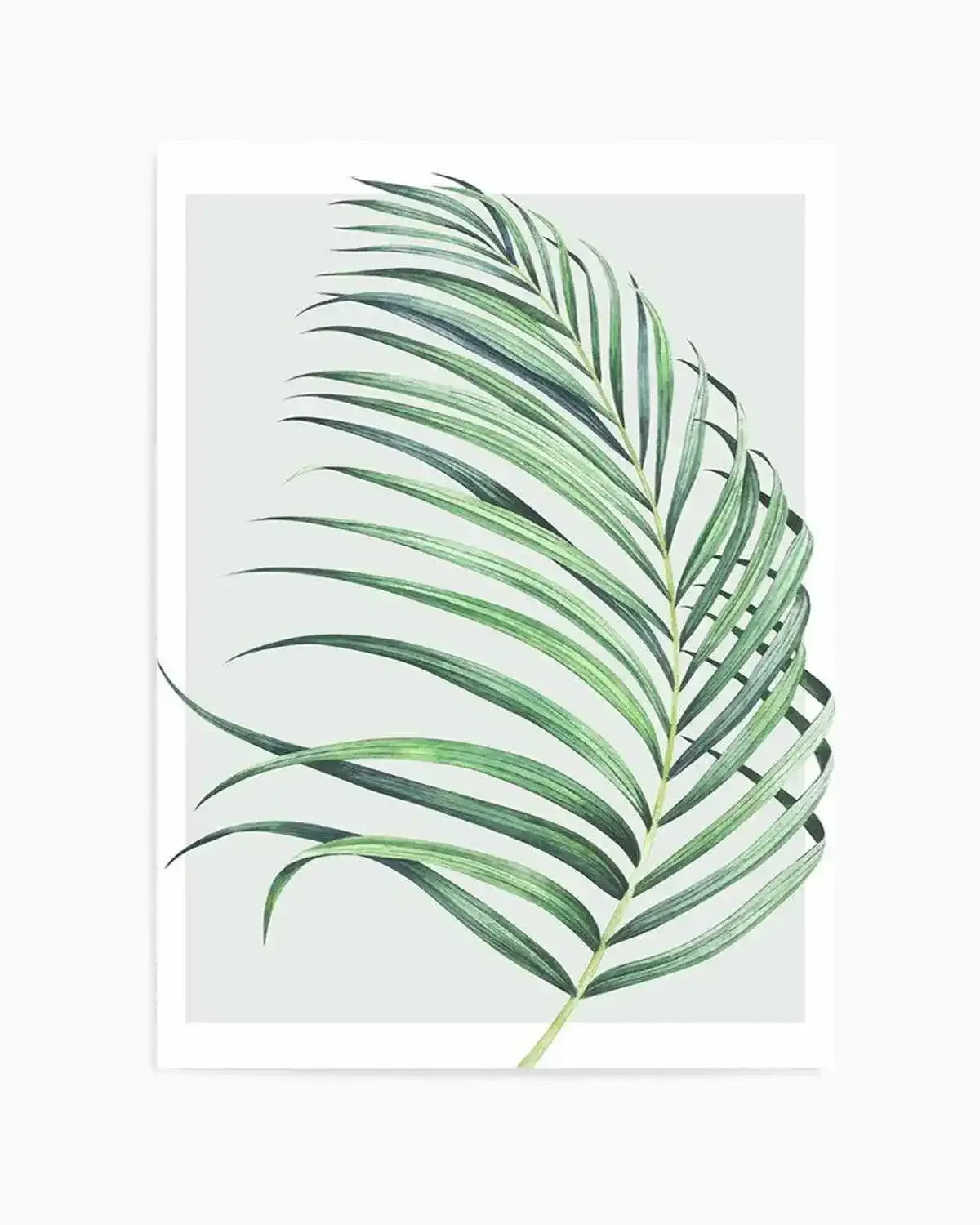 Watercolour Palm On Grey II Art Print from Olive et Oriel where you can shop wallpaper and artworks online