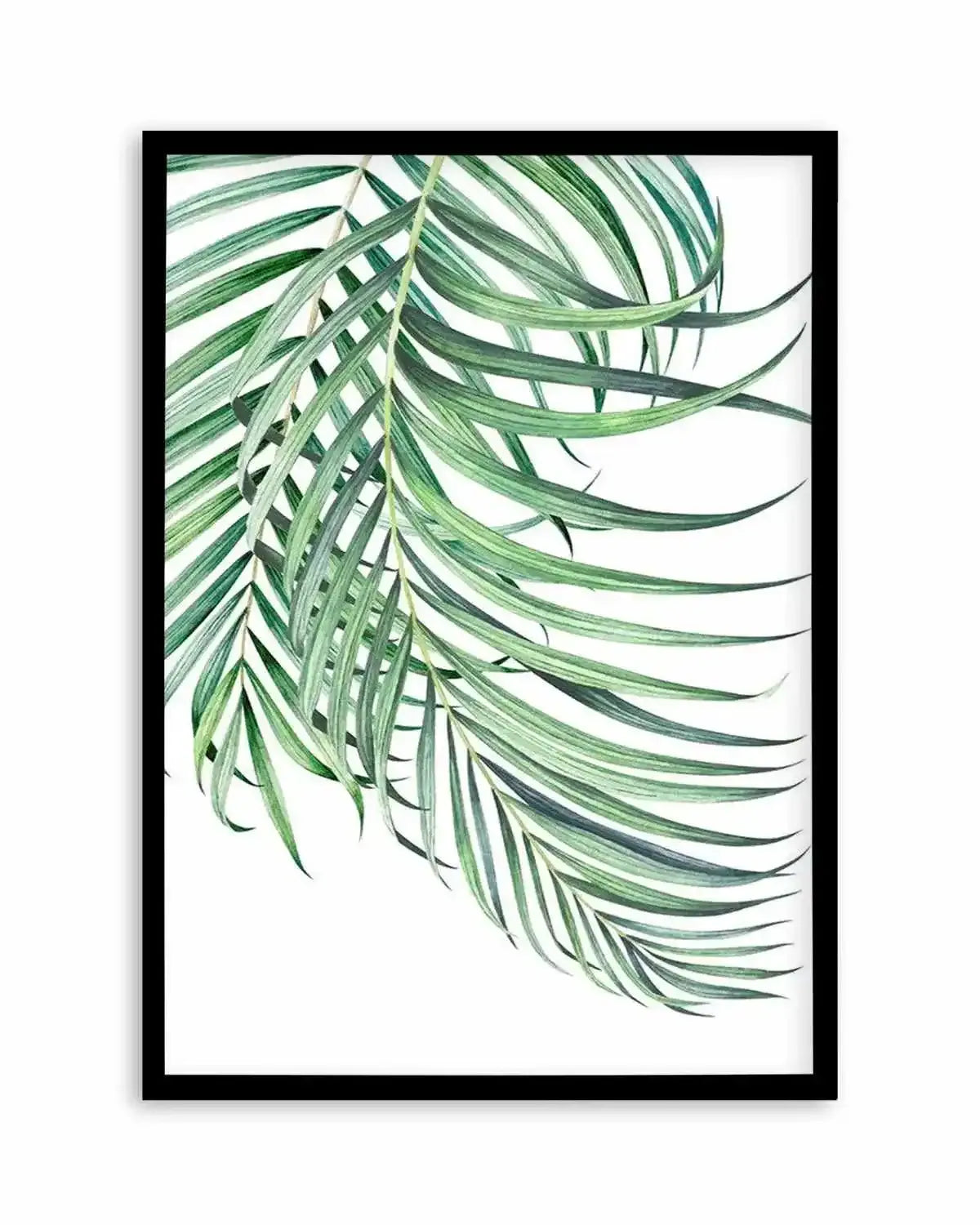 Watercolour Palms I Art Print from Olive et Oriel where you can shop wallpaper and artworks online