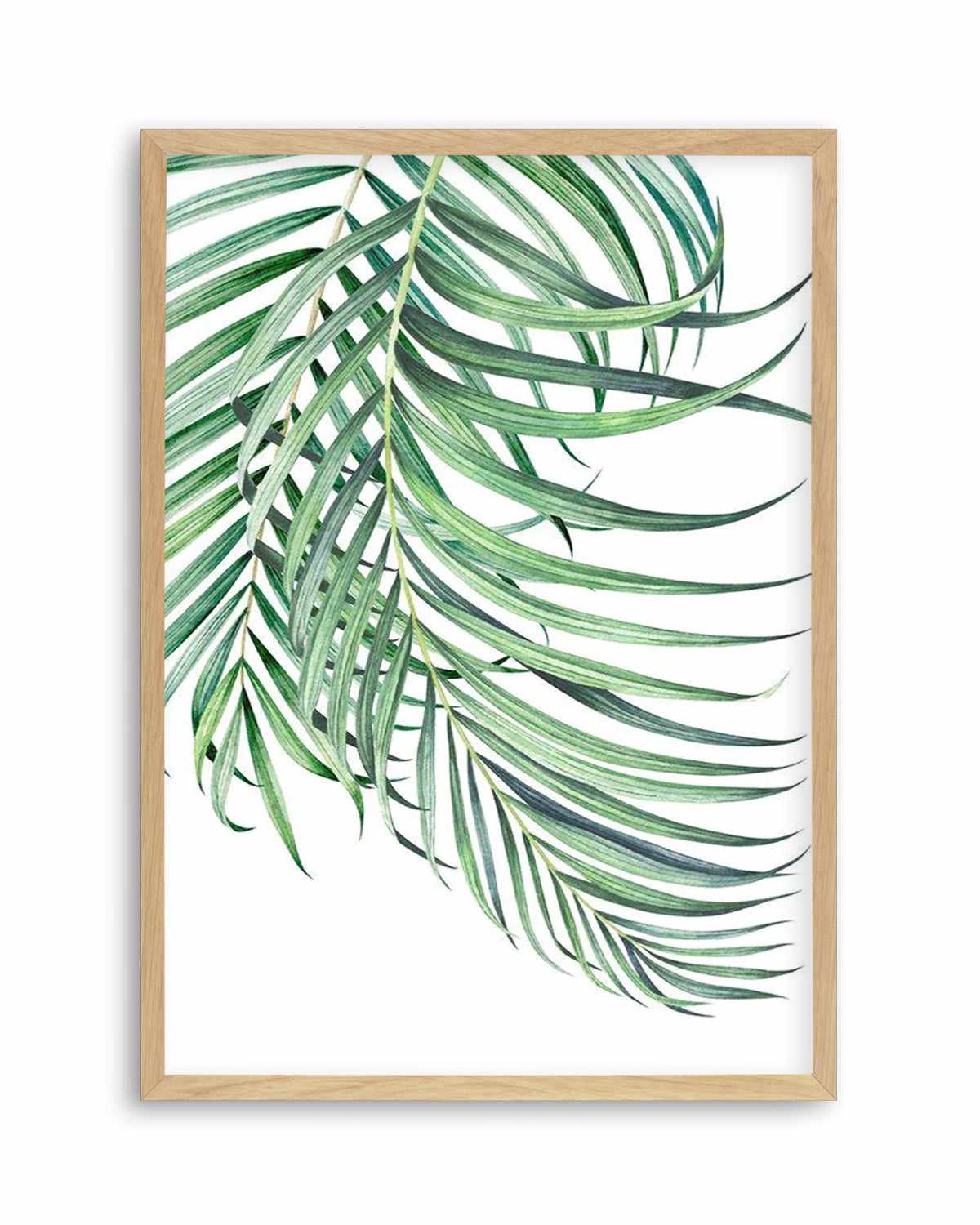 Watercolour Palms I   Art Print