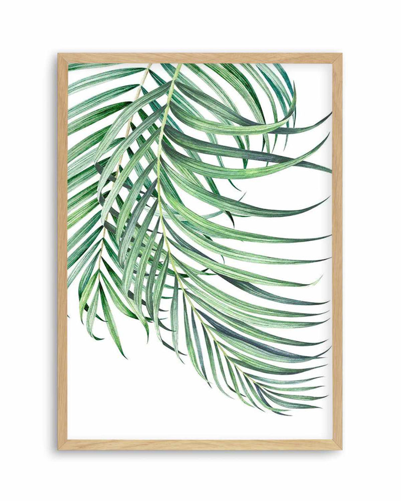 Tropical Watercolour Palm Illustrations | Illustrated Art Poster ...