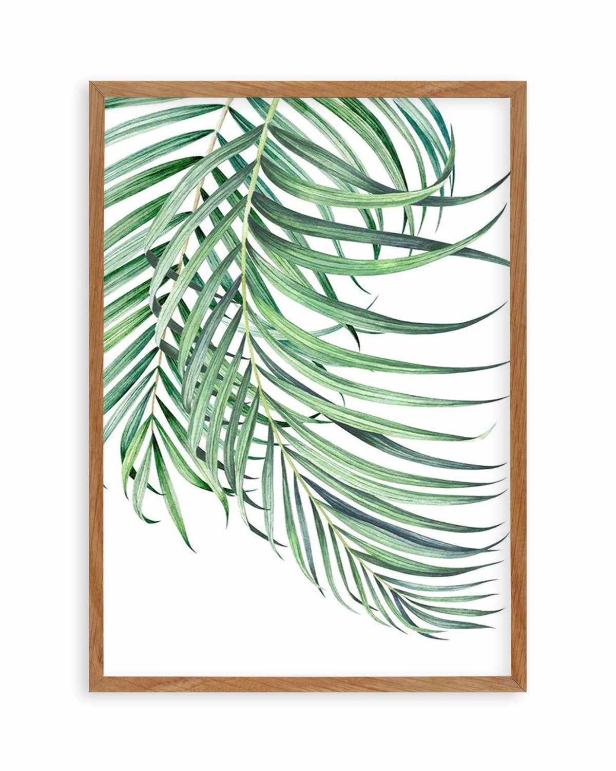 Watercolour Palms I   Art Print